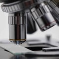 Where can i find reliable and up-to-date information on ib academic topics?